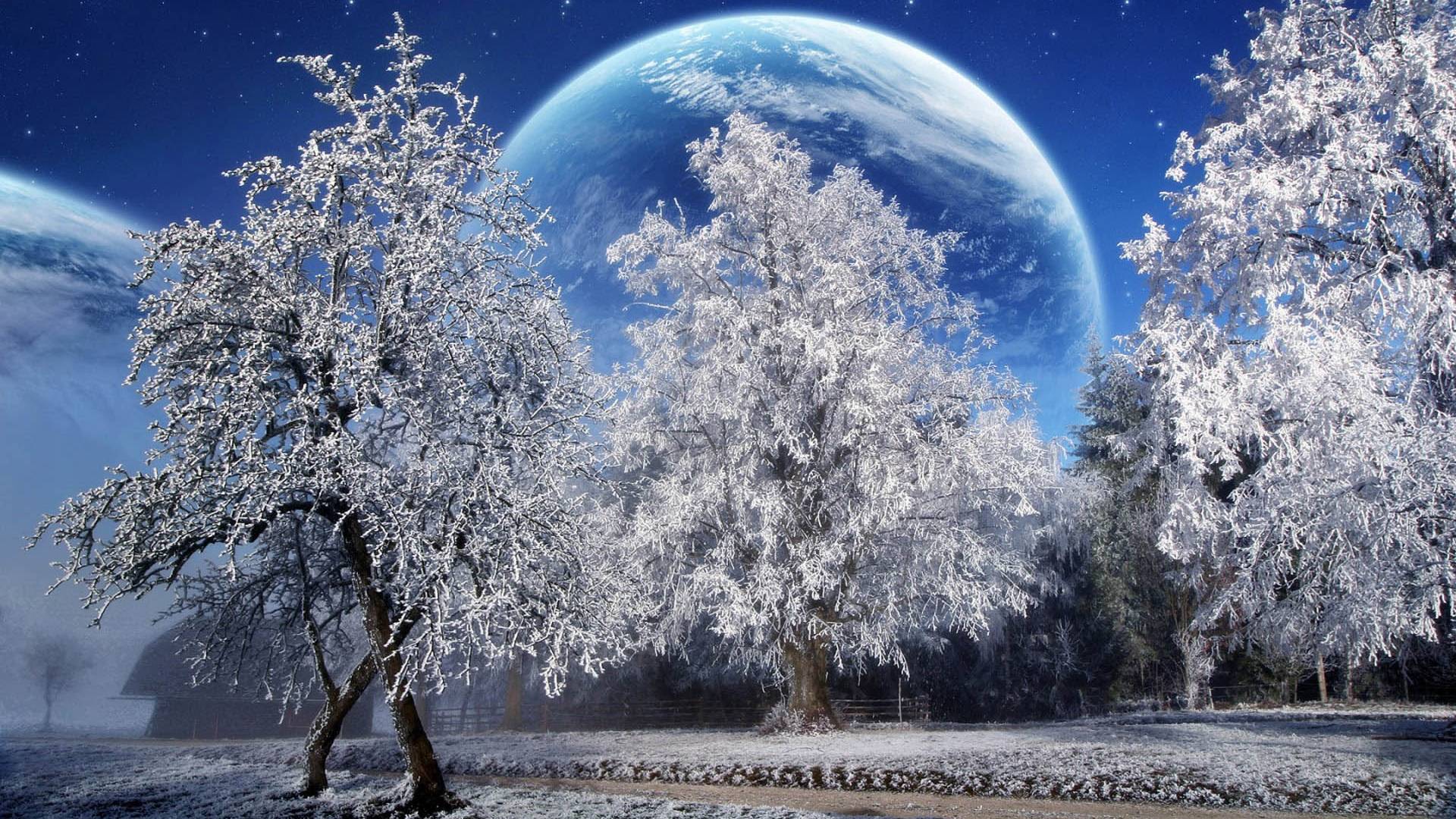 Winter Festival Celebration